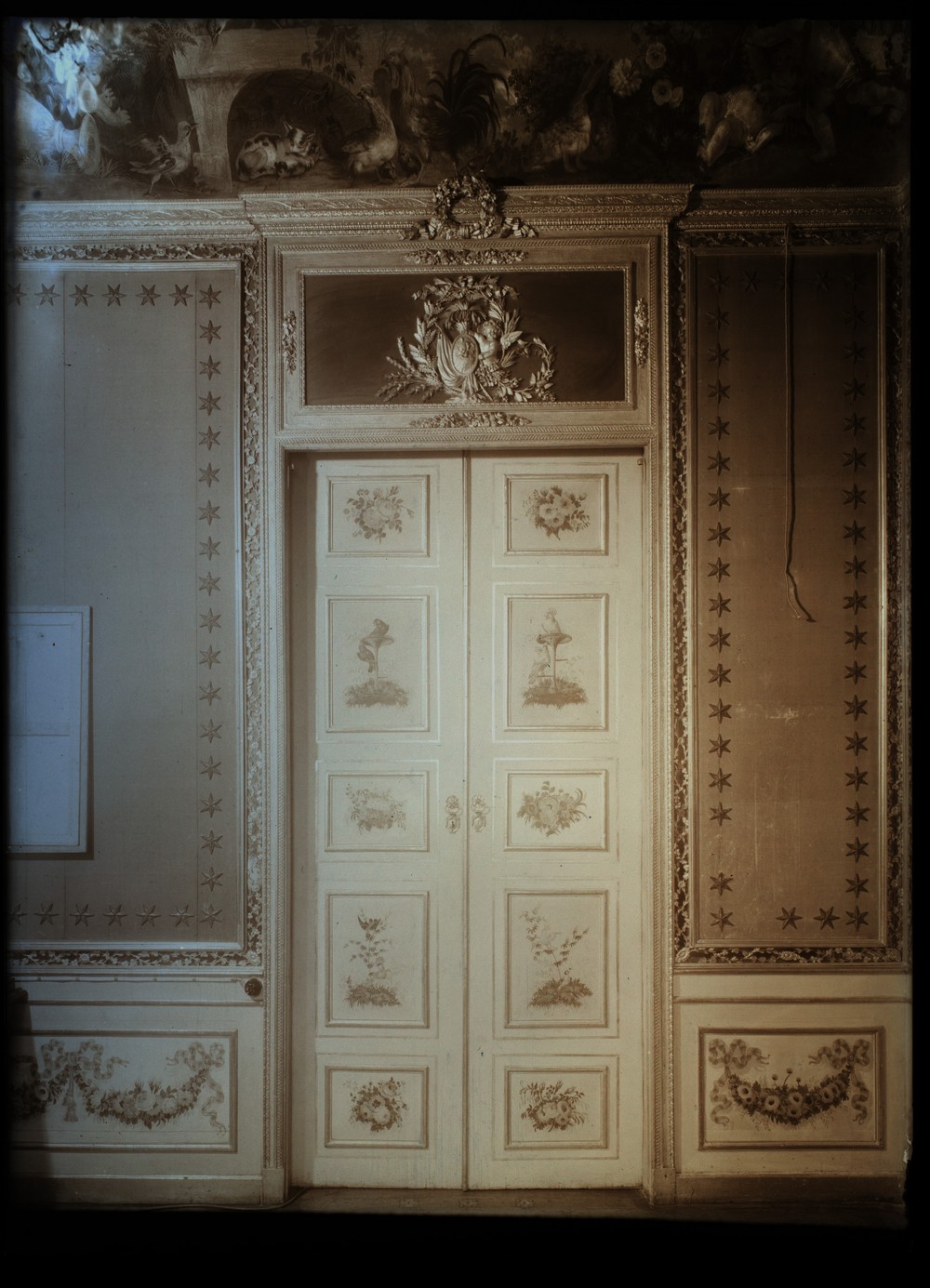 Palazzo Carignano, Appartamento dei Principi, AFFTM 224 5562